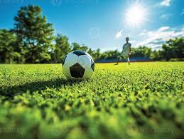 应用使用流程示意图